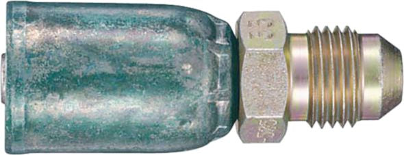 DV_ZoomOriginal_P_9313.jpg