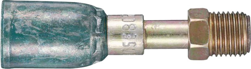 DV_ZoomOriginal_P_9316.jpg