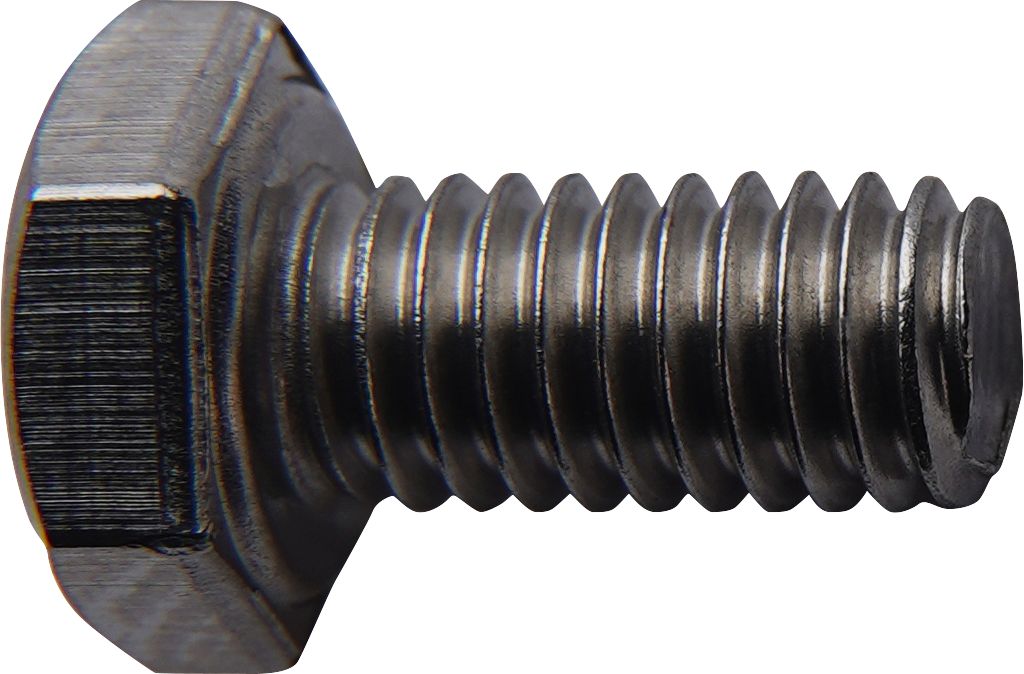 DV_ZoomOriginal_P_9859.jpg