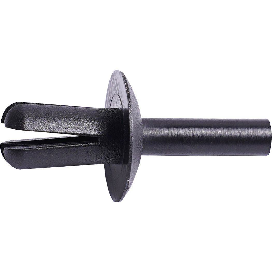 DV_ZoomOriginal_P_ATPM1005.jpg