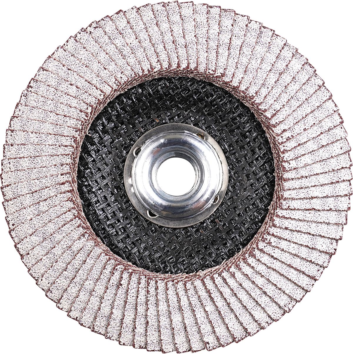 DV_ZoomOriginal_P_CTPMP1029.jpg