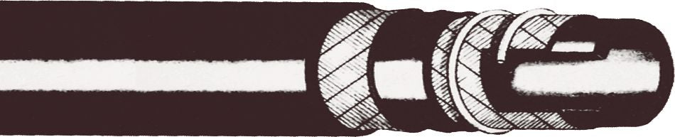 DV_ZoomOriginal_P_FP2444.jpg