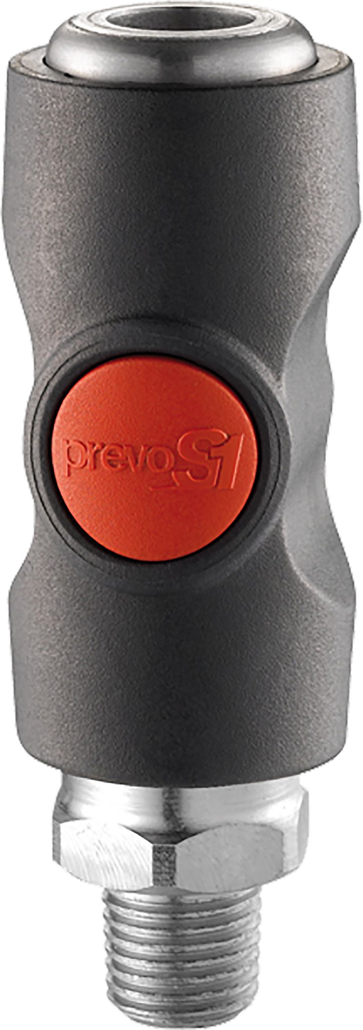 DV_ZoomOriginal_P_FP5034.jpg