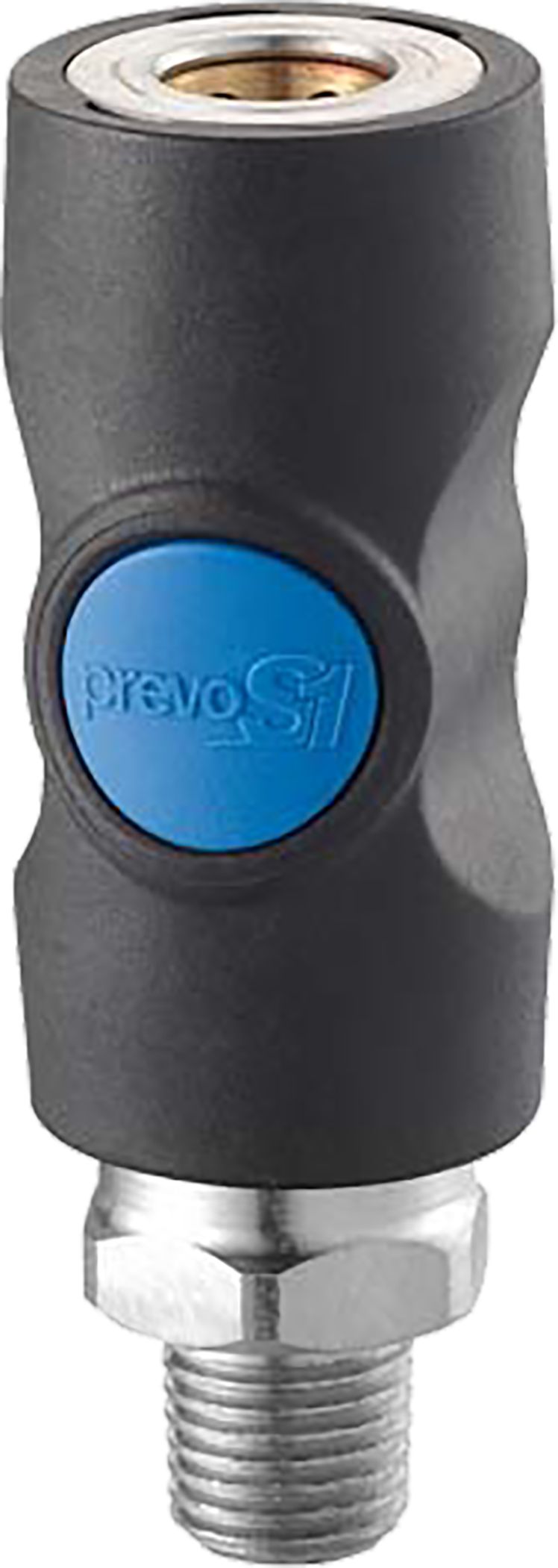 DV_ZoomOriginal_P_FP5036.jpg