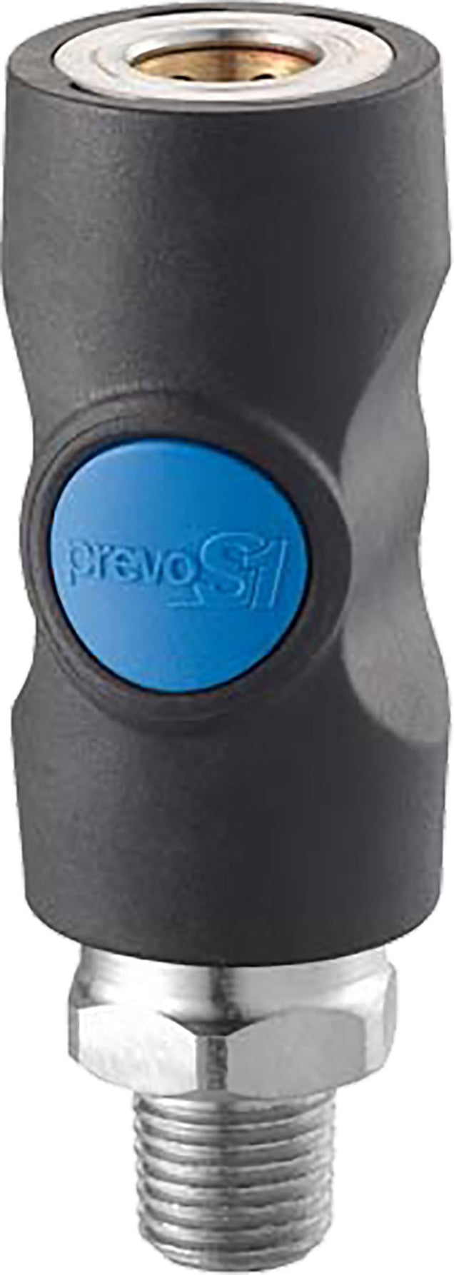 DV_ZoomOriginal_P_FP5036.jpg