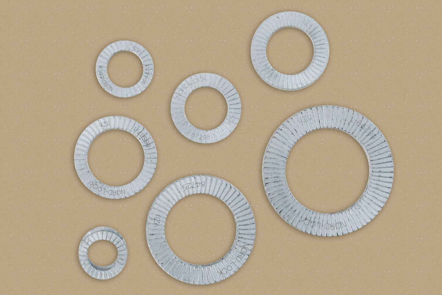 DV_ZoomOriginal_P_FS1007.jpg