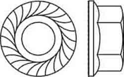 DV_ZoomOriginal_P_FSNS1193.jpg