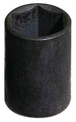 DV_ZoomOriginal_P_HT1812.jpg