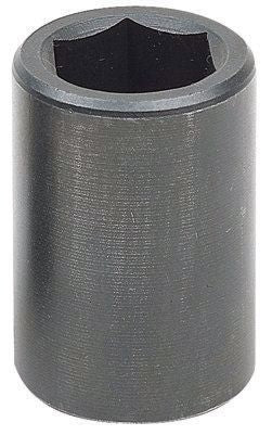 DV_ZoomOriginal_P_HT1874.jpg
