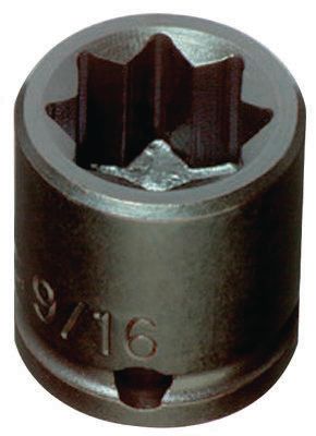 DV_ZoomOriginal_P_HT1930.jpg