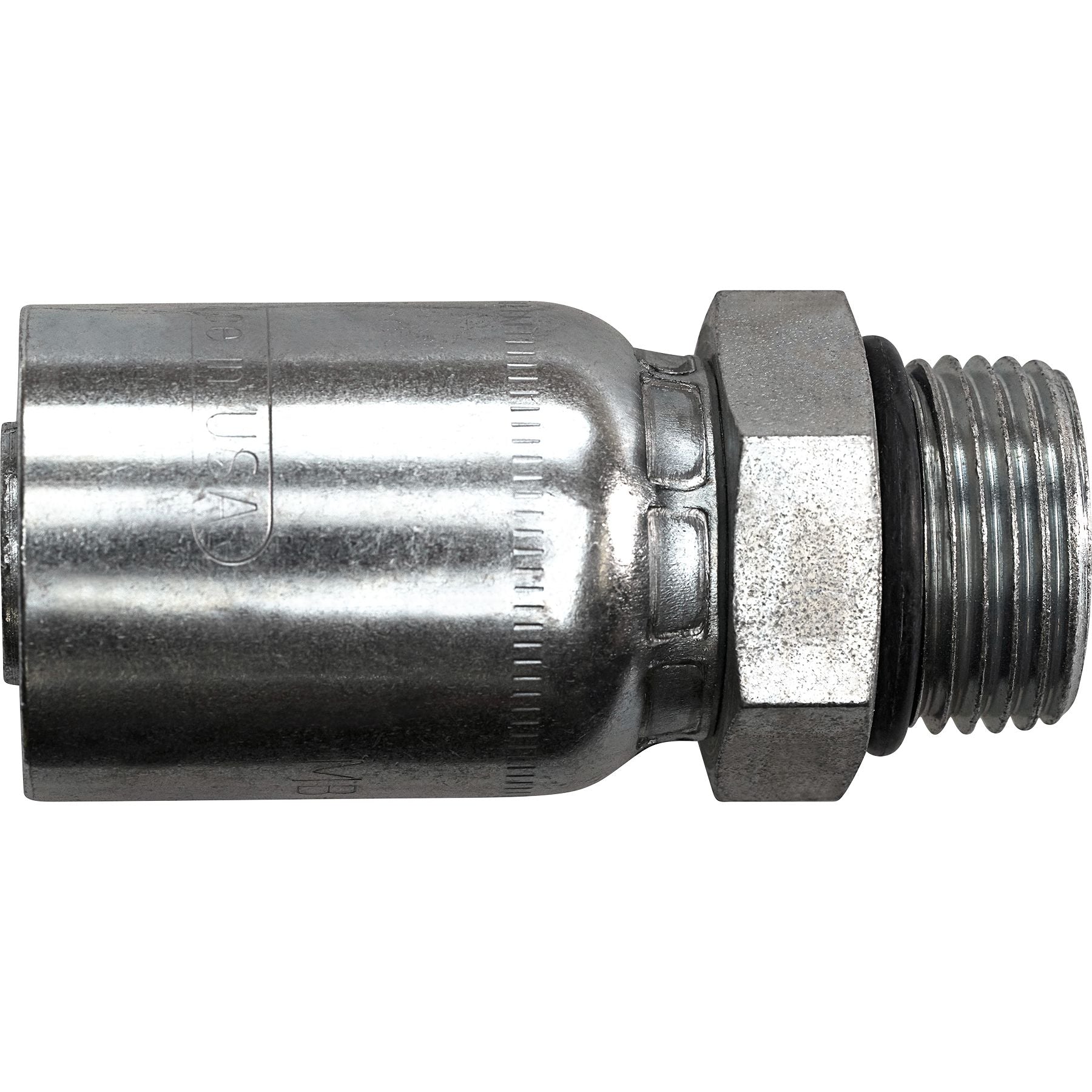 DV_ZoomOriginal_P_KH6176.jpg