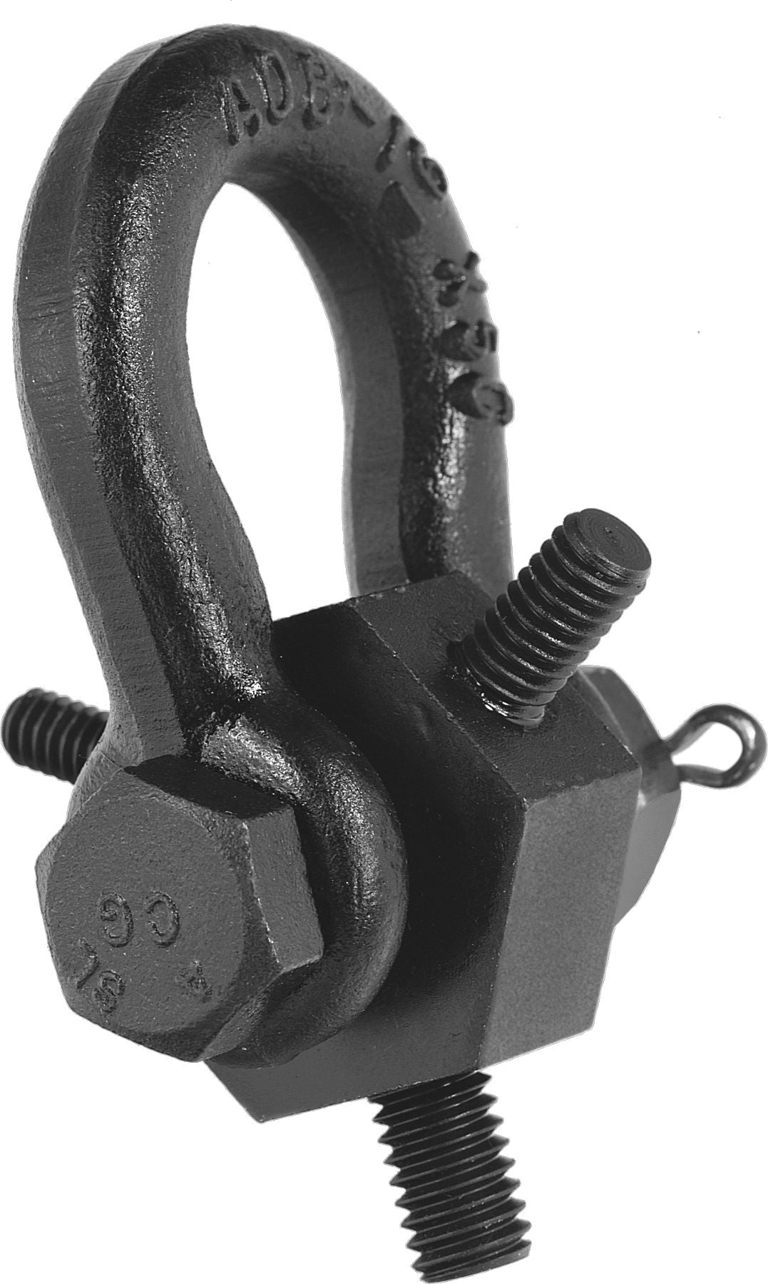 DV_ZoomOriginal_P_MH1813.jpg