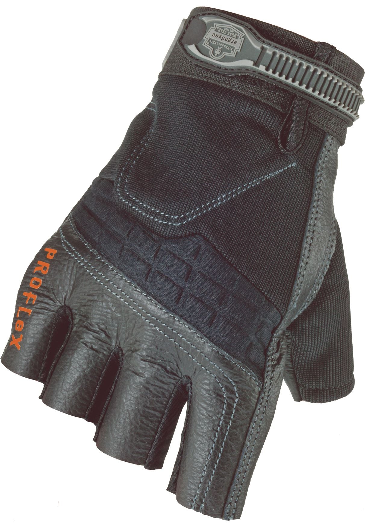 DV_ZoomOriginal_P_SF1222.jpg