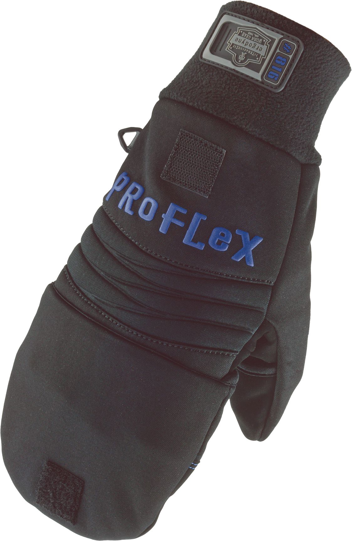 DV_ZoomOriginal_P_SF1247.jpg