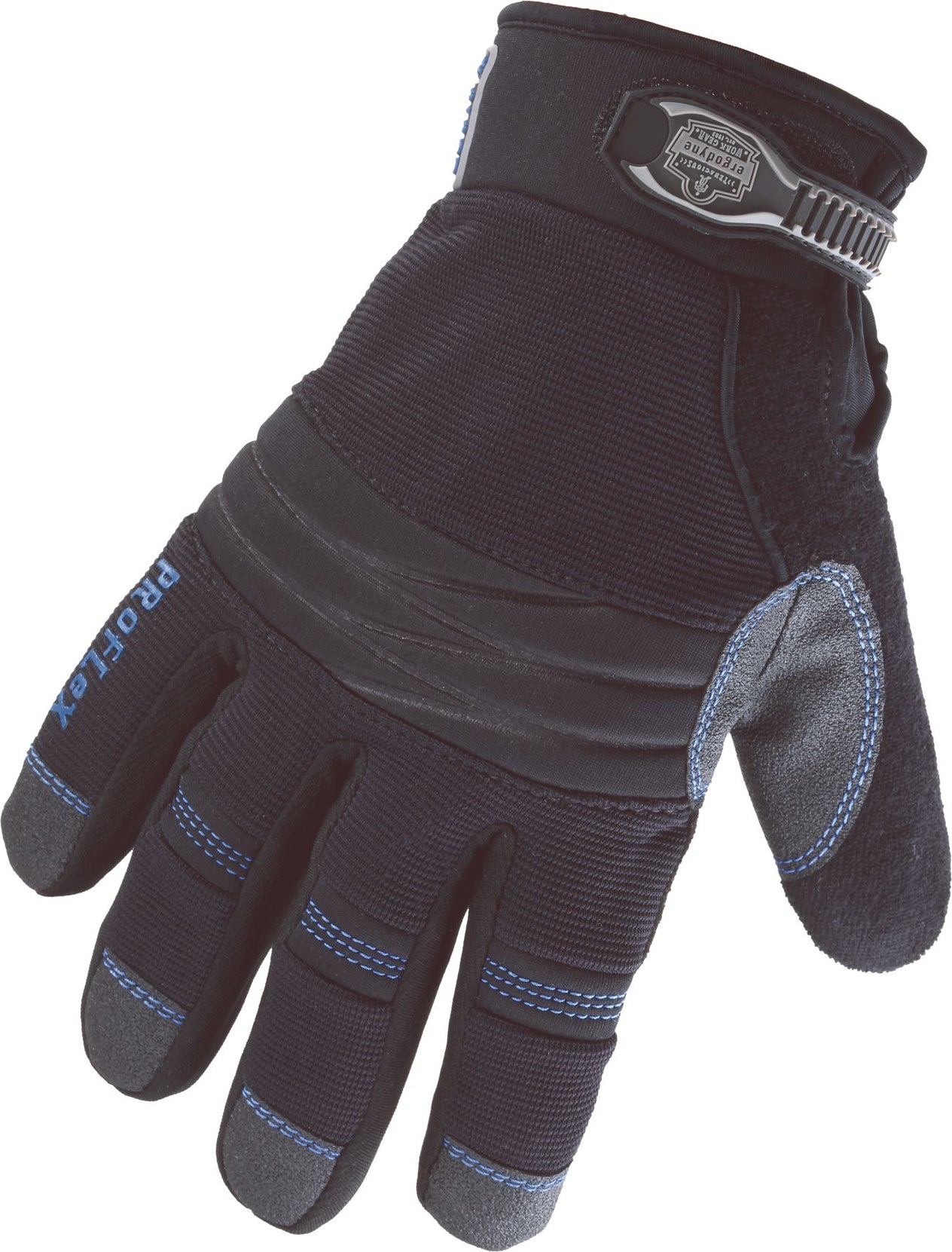 DV_ZoomOriginal_P_SF1250.jpg
