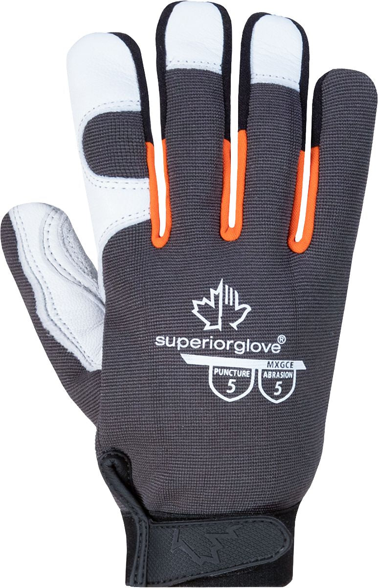 DV_ZoomOriginal_P_SFSUP36.jpg