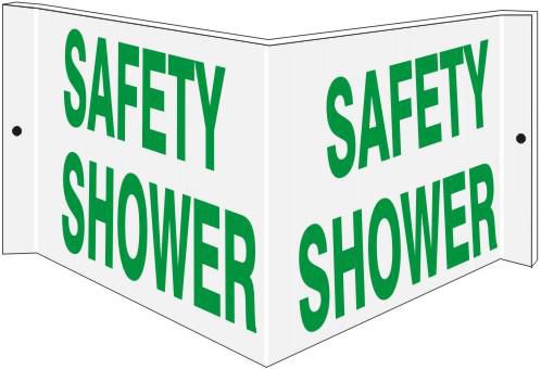 DV_ZoomOriginal_P_Safehouse1900_WB.jpg