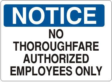 DV_ZoomOriginal_P_Safehouse3053_WB.jpg